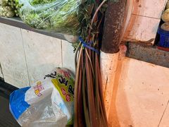 -花园菜市场