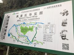 -中国大熊猫保护研究中心雅安碧峰峡基地