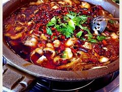 麻辣石锅鱼-都江堰石锅鱼