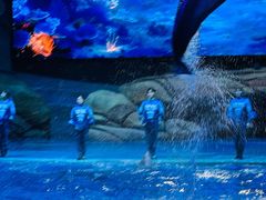 -海合安武汉极地海洋公园