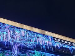 -金光华广场