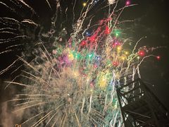 -花博汇(知音花月夜)