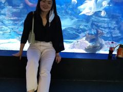 -烟台海昌鲸鲨海洋公园