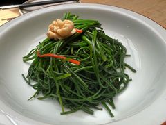 -蒙料·手把肉(望京店)