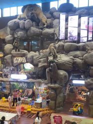 -卡通尼·Safari非洲探索乐园·生日会(金桥国际商业广场店)