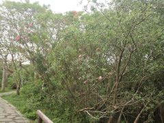 -白沙门生态公园