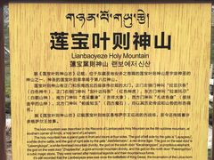-莲宝叶则景区