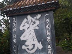 -靖西鹅泉风景区
