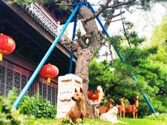 -龙华寺
