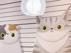 -Tomado绿色烘焙(大尧三路店)