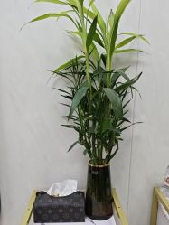 -TRIMS HAIR 修剪造型·烫染接发