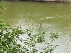 -翠湖国家城市湿地公园
