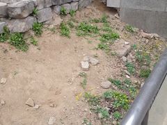 -明皇城东安门遗址