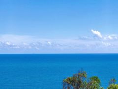 -广东惠东海龟国家级自然保护区