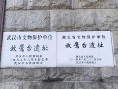 -放鹰台遗址