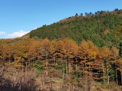 -四明山国家森林公园