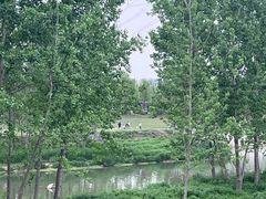-洨河生态公园