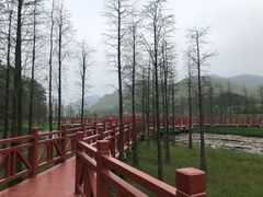 -广州市石门国家森林公园