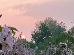 -海棠花溪(元大都城垣遗址公园)