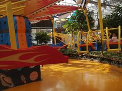 -南宫五洲植物乐园