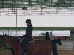 -名驭国际马术学院