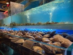 活虾-喜庭海鲜自助(来福士店)