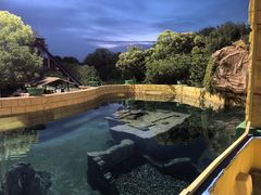 -上海玛雅海滩水公园