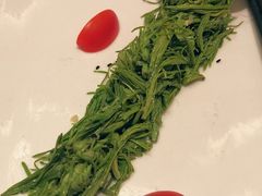 松针芽-安徽大厦中餐厅