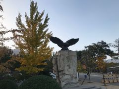 -北京鹫峰国家森林公园