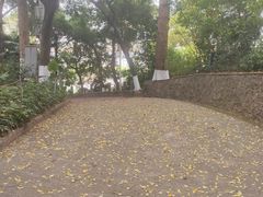 -中山公园(石岐街道)