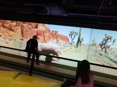 -VS SPORTS PARK运动玩乐园·团建·生日会(合生汇店)
