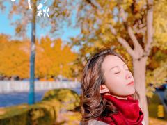 -三里屯东五街银杏大道