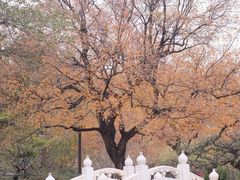 -地坛公园