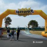 沉浸式任务体验——花世界沉浸体验