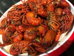 -不炭白烧烤(成都首店)