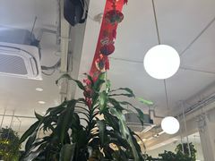 -岳姥姥饺子(泺文路店)