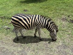 -卡塞拉自然公园