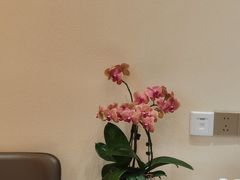 -德兴show鲜·蒸汽海鲜火锅餐厅(格创悦里店)