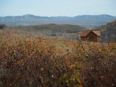 -塞罕坝国家级自然保护区