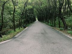 -同里国家湿地公园