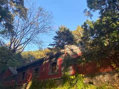 -潭柘寺景区
