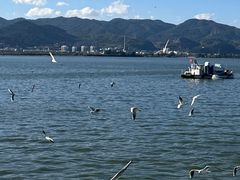 -海埂大坝