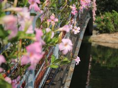 -上海辰山植物园
