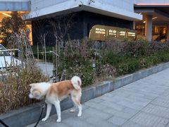 -好望角大饭店(肇嘉浜路店)