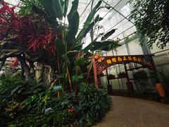-天目湖山水园