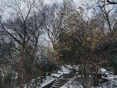 -紫金山山顶公园