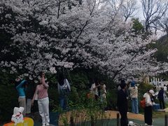 -杭州少年儿童公园