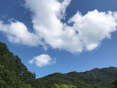 -三块石国家森林公园