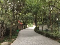 -峙山公园