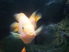 -苏州海洋馆